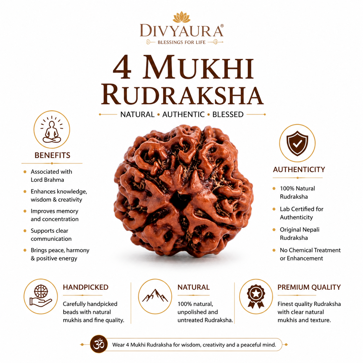 4 Mukhi Nepali Certified Rudraksha